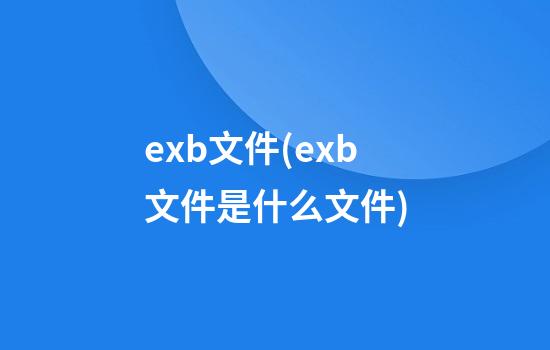 exb文件(exb文件是什么文件)