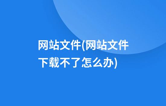 网站文件(网站文件下载不了怎么办)