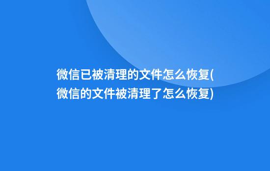 微信已被清理的文件怎么恢复(微信的文件被清理了怎么恢复)