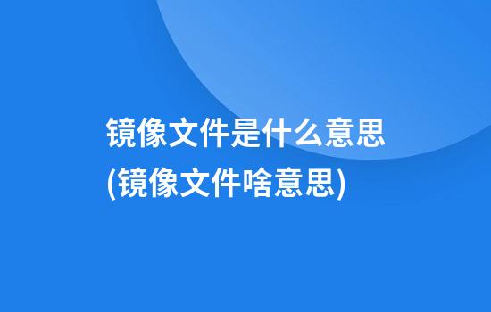 镜像文件是什么意思(镜像文件啥意思)