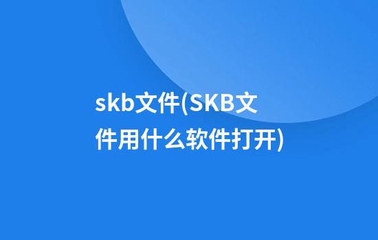 skb文件(SKB文件用什么软件打开)