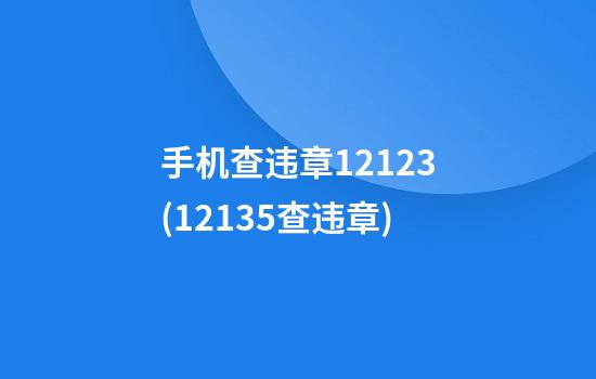 手机查违章12123(12135查违章)