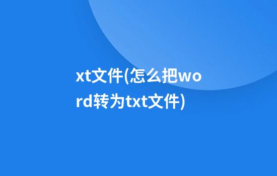 xt文件(怎么把word转为txt文件)