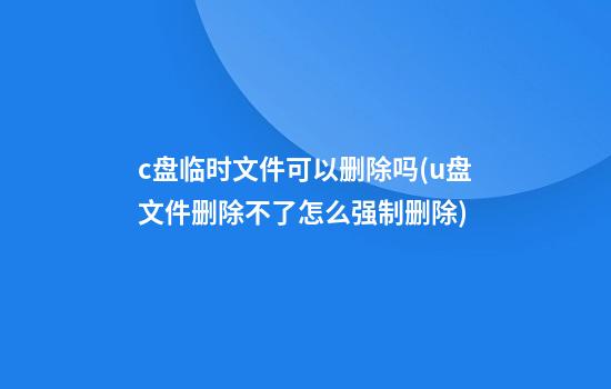 c盘临时文件可以删除吗(u盘文件删除不了怎么强制删除)