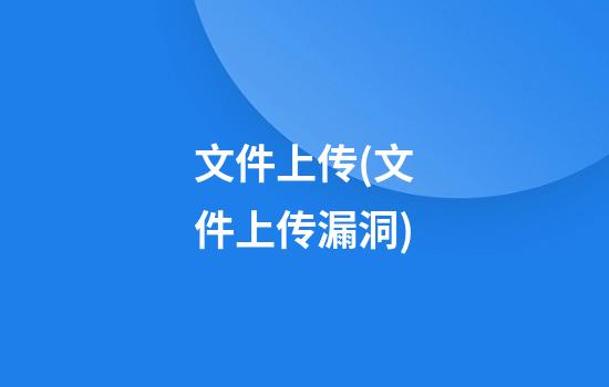 文件上传(文件上传漏洞)