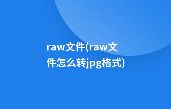 .raw文件(raw文件怎么转jpg格式)