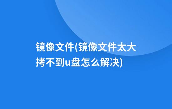 镜像文件(镜像文件太大拷不到u盘怎么解决)